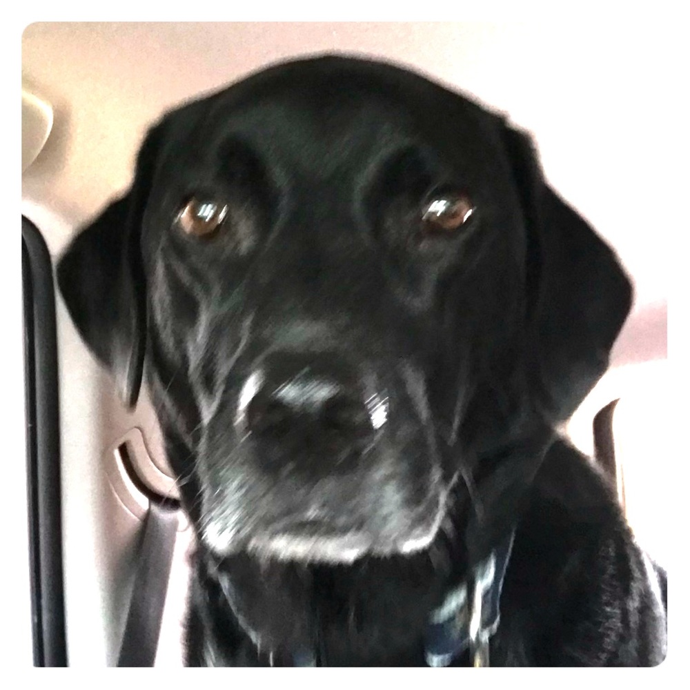 Meet your Posher, Erica